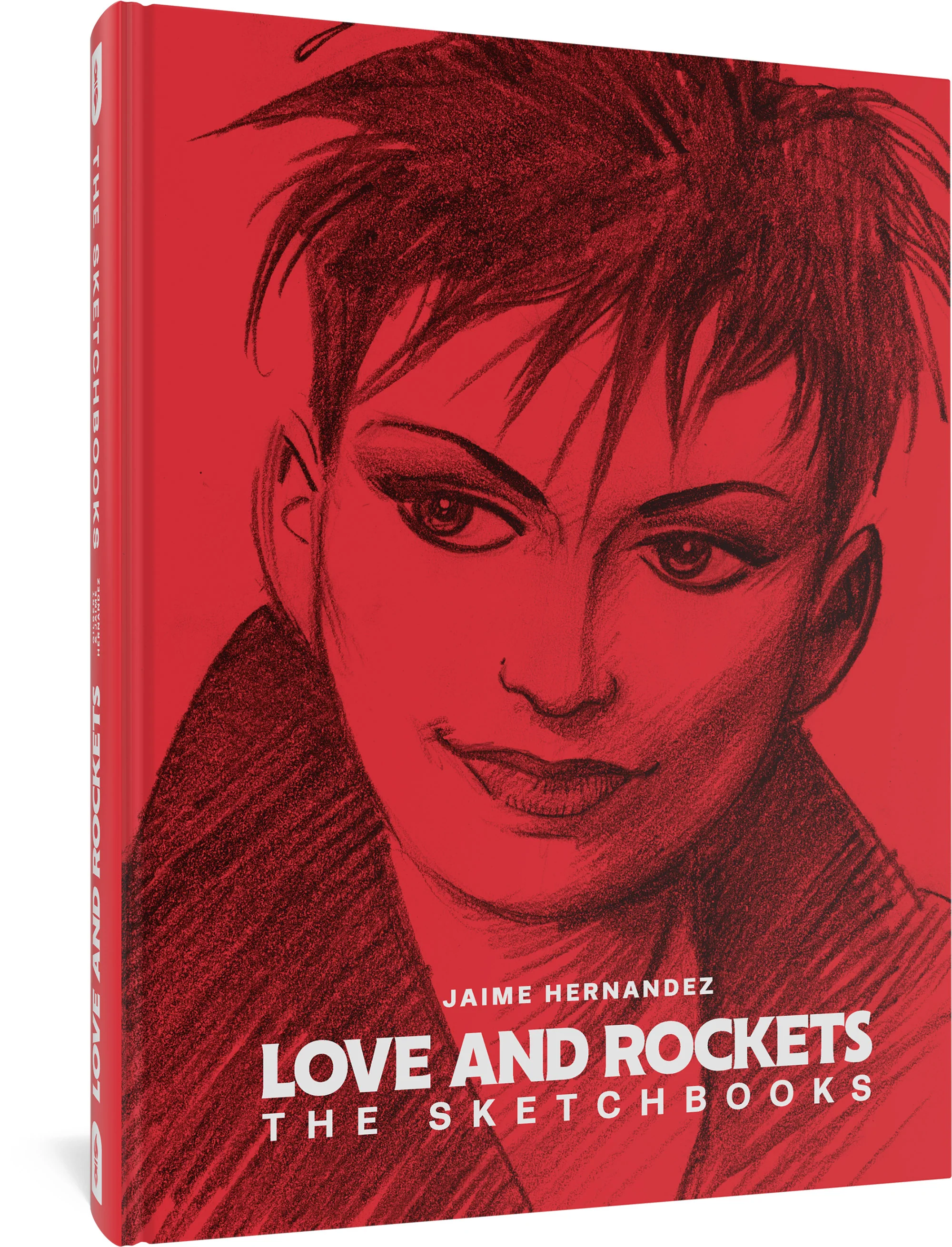 Love and Rockets: The Sketchbooks - Image 2